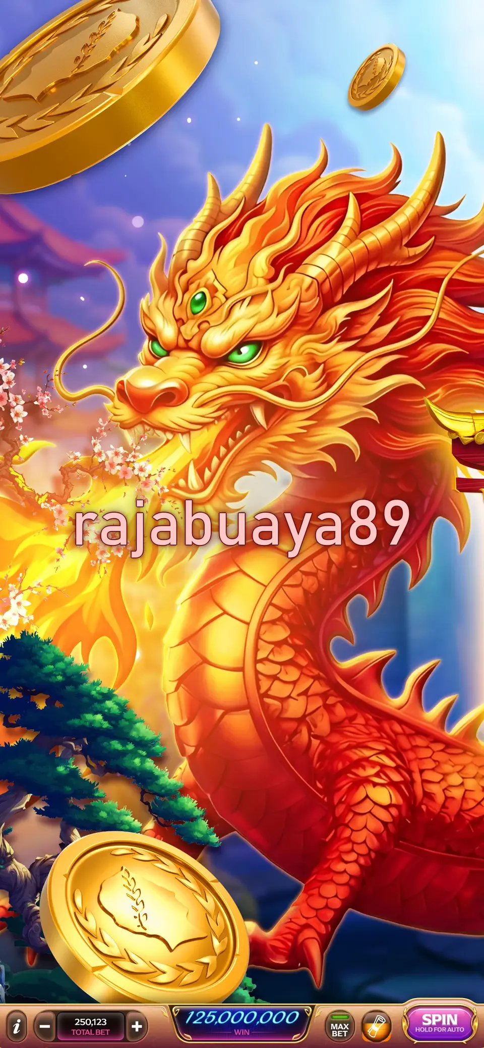 rajabuaya89 Masuk